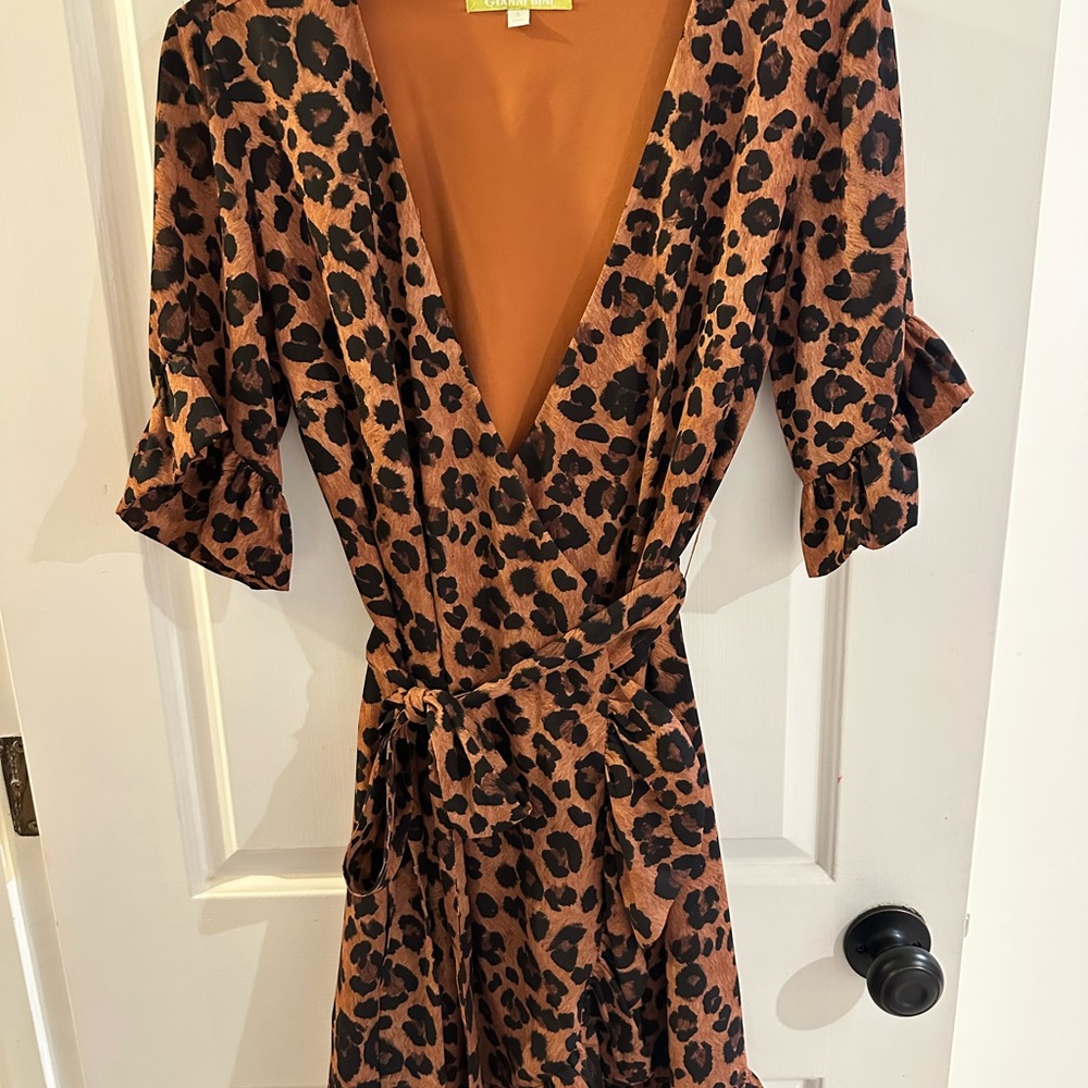 Leopard Print Wrap Dress